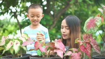 madre enseñando niños a tomar cuidado de plantas video