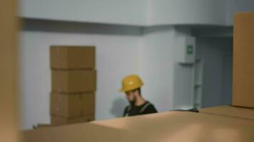 Afrikaanse Amerikaans werknemer in magazijn behandeling karton dozen vol van producten klaar naar worden verzonden naar klanten. arbeider in opslagruimte kamer plaatsen pakketten Aan kabinet schappen video