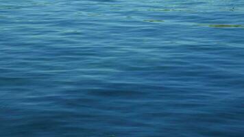 Texture of calm water surface with little movement. video