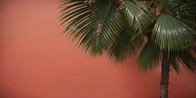 tropical palm tree leaves against a red background with copy space, AI Generated photo
