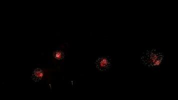 Amazing beautiful colorful firework display over sea on celebration night video