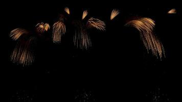 sorprendente bellissimo colorato fuoco d'artificio Schermo al di sopra di mare su celebrazione notte. fuochi d'artificio mostrare per contento nuovo anno, 4k metraggio video