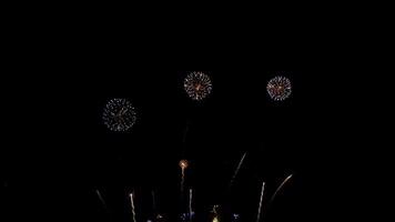 verbazingwekkend mooi kleurrijk vuurwerk Scherm over- zee Aan viering nacht video