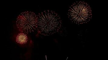 surpreendente lindo colorida fogo de artifício exibição sobre mar em celebração noite. fogos de artifício mostrar para feliz Novo ano, 4k cenas video