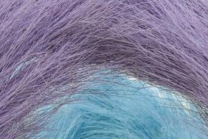 Many small branches gathered together Dyed in many different colors, textured photo