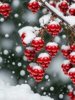 Photo Of Christmas Red Berries In The Snow. AI Generated