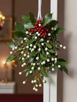 Photo Of Christmas Mistletoe Hanging From A Doorway. AI Generated