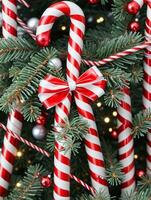 Photo Of Christmas Pine Tree Adorned With Candy Canes. AI Generated