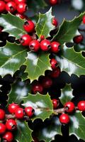 Photo Of Christmas Holly Branches With Red Berries. AI Generated