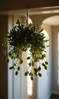 Mistletoe Hanging In A Doorway With Soft Backlighting. AI Generated photo