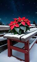 A Poinsettia Plant Resting On A Snowy Bench Under Starry Night Skies. AI Generated photo