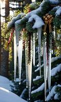 Icicles Hanging From Pine Branches Adorned With Ribbons Illuminated By Morning Sunlight. AI Generated photo