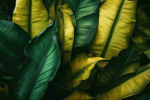 Banana leaves close-up. AI generated photo