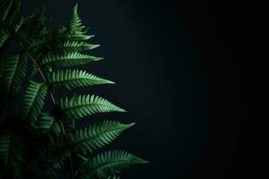 Fern leaves on a dark background. AI generated photo