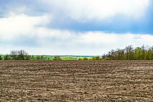 Photography on theme big empty farm field for organic harvest photo