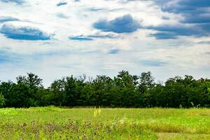 Beautiful horizon scenery in village meadow on color natural background photo