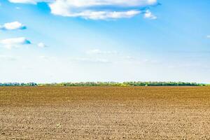 Photography on theme big empty farm field for organic harvest photo