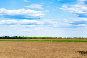 Photography on theme big empty farm field for organic harvest photo