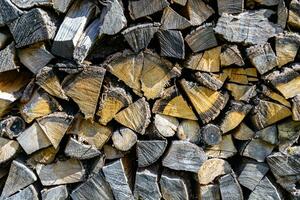 Photography on theme big wall of stacked oak tree logs in cracks photo