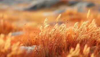 Tall grass in close-up detail AI Generated photo