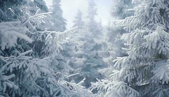 Snow-covered pine trees in a serene forest setting AI Generated photo