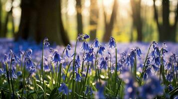 A beautiful field of bluebells in a sunlit forest AI Generated photo