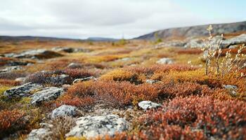 A serene grassy landscape with a rocky backdrop AI Generated photo