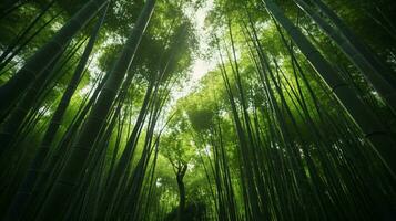 Sunlight streaming through a dense bamboo forest AI Generated photo