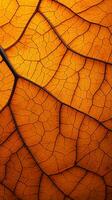 A macro shot showcasing the intricate texture of a leaf AI Generated photo