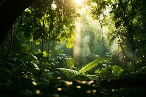 Sunlight streaming through the trees in a forest AI Generated photo