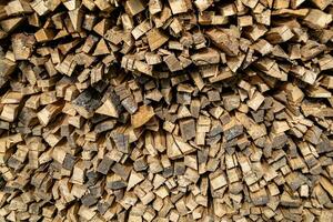 Photography on theme big wall of stacked oak tree logs in cracks photo