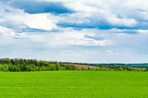 Beautiful horizon scenery in village meadow on color natural background photo
