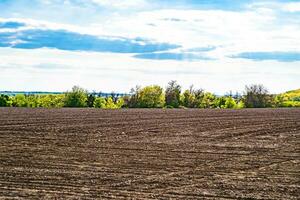 Photography on theme big empty farm field for organic harvest photo