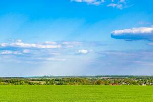 Beautiful horizon scenery in village meadow on color natural background photo