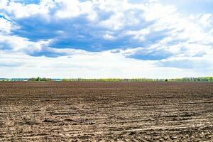 Photography on theme big empty farm field for organic harvest photo