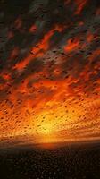 Birds flying over a beautiful sunset AI Generated photo