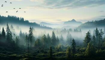 A misty forest with a dense canopy of trees AI Generated photo