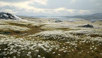 A serene landscape with wildflowers and a picturesque lake AI Generated photo