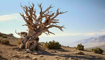 un estéril Desierto paisaje con un solitario muerto árbol en pie como un rígido símbolo de supervivencia y Resiliencia ai generado foto