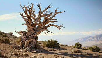 A barren desert landscape with a solitary dead tree standing as a stark symbol of survival and resilience AI Generated photo