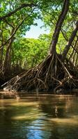 A serene landscape with trees standing tall in the middle of a tranquil body of water AI Generated photo