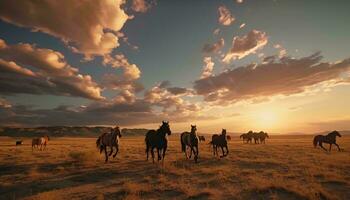 Horses walking across a dry grass field AI Generated photo