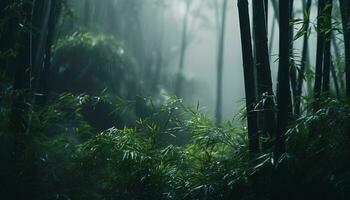 A serene bamboo forest with towering trees AI Generated photo