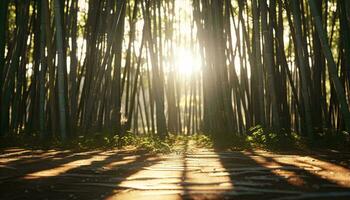 Sunlight filtering through bamboo trees AI Generated photo