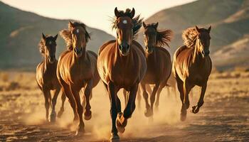 caballos en lleno galope a través de un polvoriento campo ai generado foto