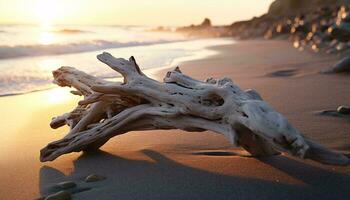 un resistido pedazo de madera flotante descansando en un arenoso playa ai generado foto