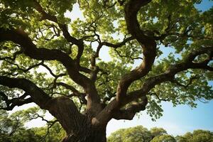 un majestuoso árbol con lozano verde follaje ai generado foto