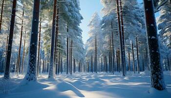 un sereno invierno mundo maravilloso con un Nevado bosque ai generado foto