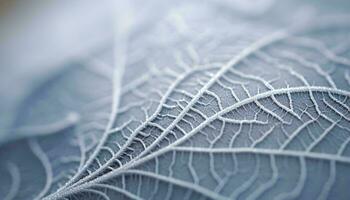 The intricate texture of a leaf up close AI Generated photo