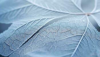 A detailed close-up of a leaf's intricate vein structure AI Generated photo